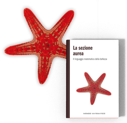 1 maletín con óleos, 1 caja de acuarelas y 1 caja de pasteles